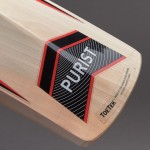 GM Purist 909 English Willow Cricket Bat